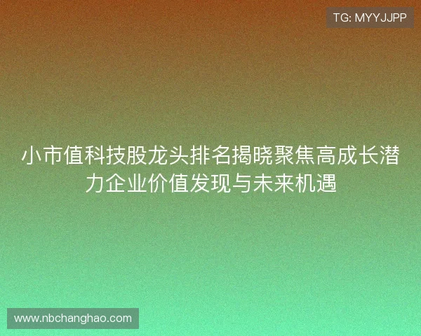 小市值科技股龙头排名揭晓聚焦高成长潜力企业价值发现与未来机遇